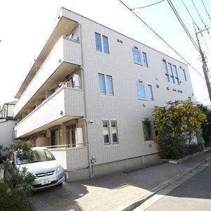 フィカーサいちょうの木