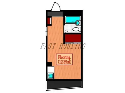 新井ハウス(ワンルーム/2階)の間取り写真