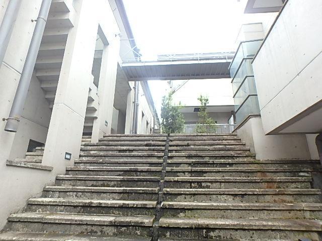 ラフィーネヤマミツ