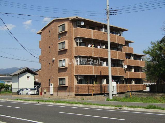 エール19