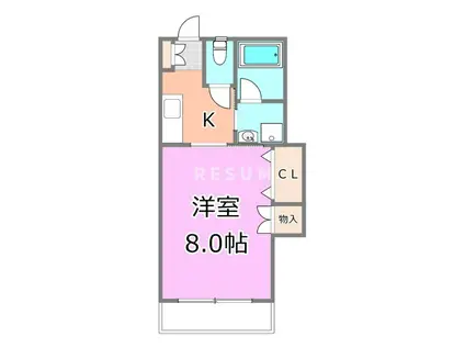 ドムスグランディフローラ(1K/4階)の間取り写真