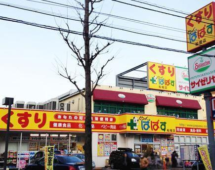 プレシス小岩イーズ(3LDK/5階)の周辺写真
