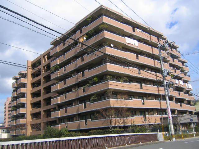 JGMマキシム藤崎