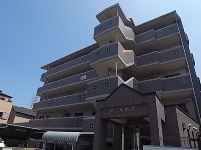 ガゼル藤沢