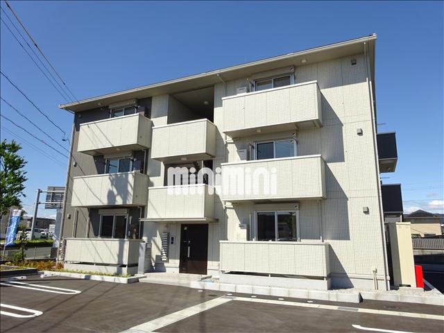 オッツ初生
