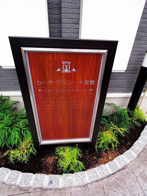 カーサ グリシーナ 常盤