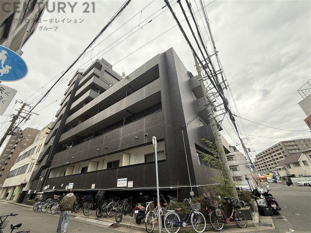 シロハイヌ尼崎