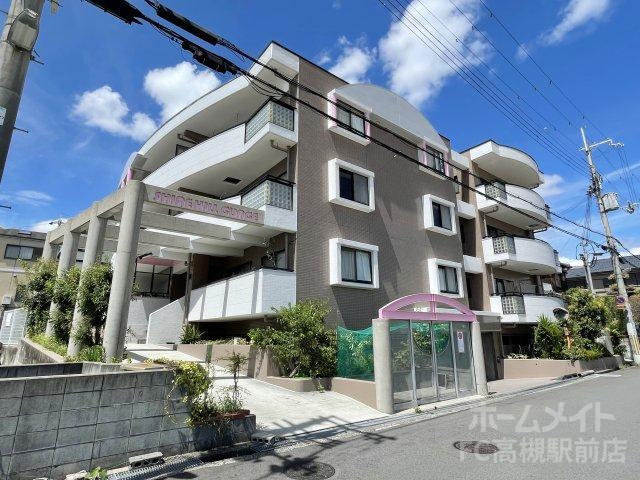 シャインヒル郡家