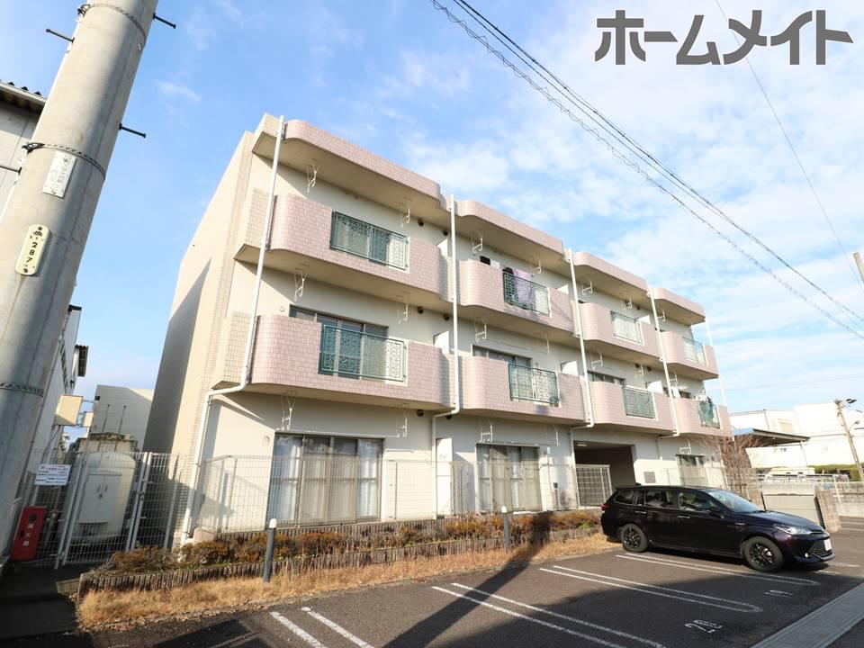 ユーミープランドール
