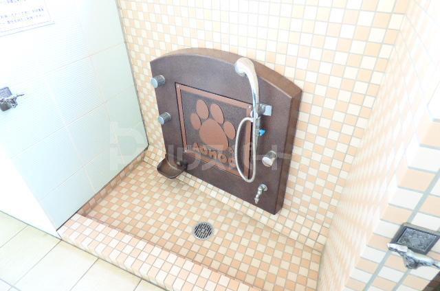 コンフォート