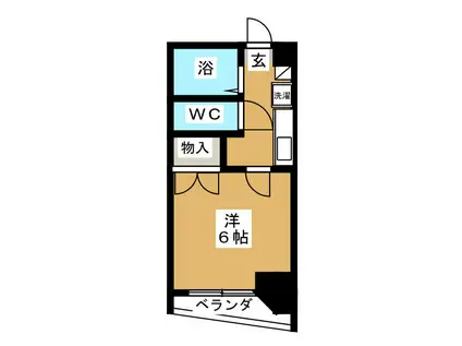 アーク松戸本町(1K/5階)の間取り写真