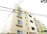 スイーティー葉山