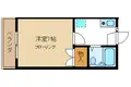 シャイン夏見
