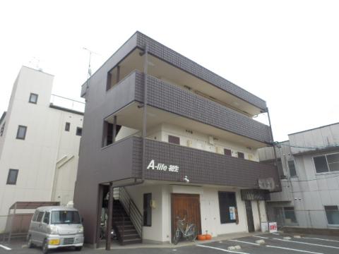 A-LIFE初生