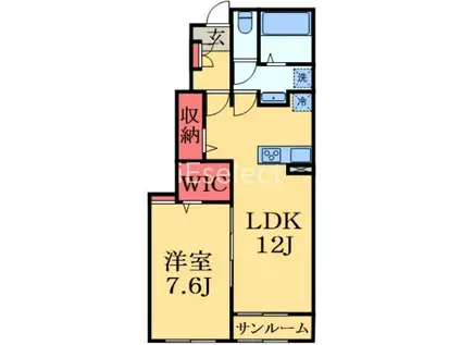 パラッツォ(1LDK/1階)の間取り写真