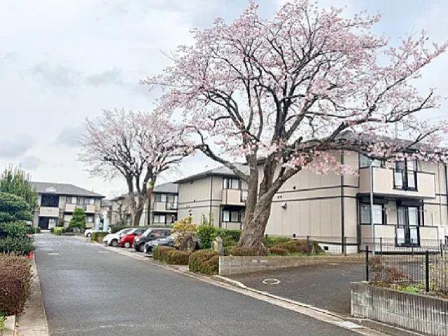 サンビレッジ葉山C