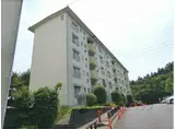 石山8号棟