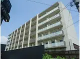 KANON SENDAI