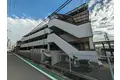 ピンリーブル1