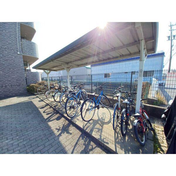 カーム・ウェーブ