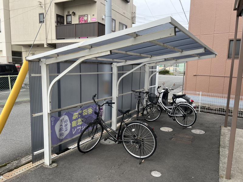 サンライズクイーン