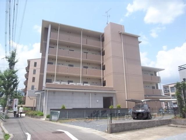D・マローネ桂