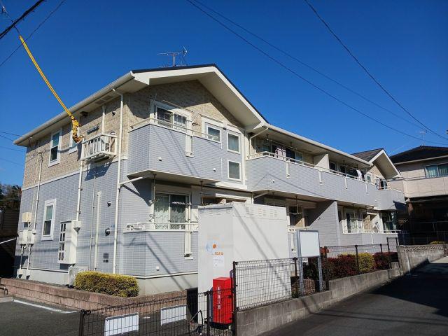 ライフ グローブ