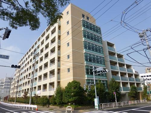 WILLDO清澄