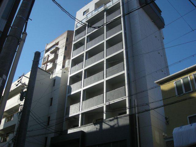 レクサ若葉