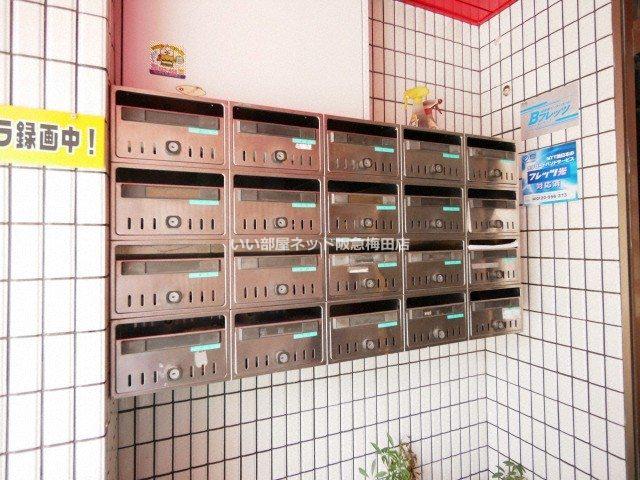 アルバトロス