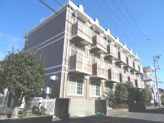 CEREZO・PASEO II