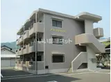 アネックス21