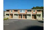 チアフリ・エンジェル
