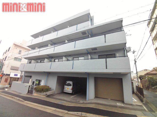 六甲ヒノキ