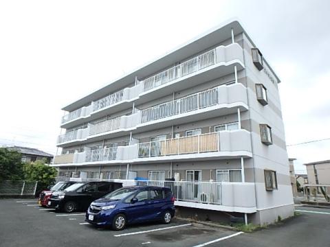 フローラル初生