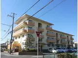 第一寺田マンション