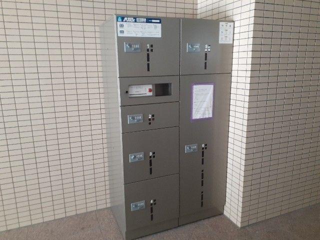 プラシードYS