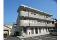 パール II