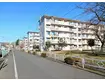 立川柏町団地(2LDK/1階)