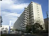 市川パークハイツ C棟