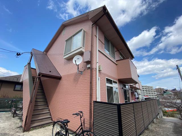 ロイヤルパインB