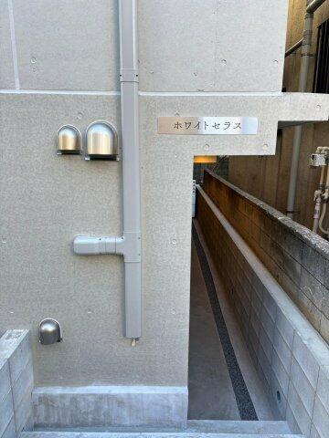 ホワイトセラス
