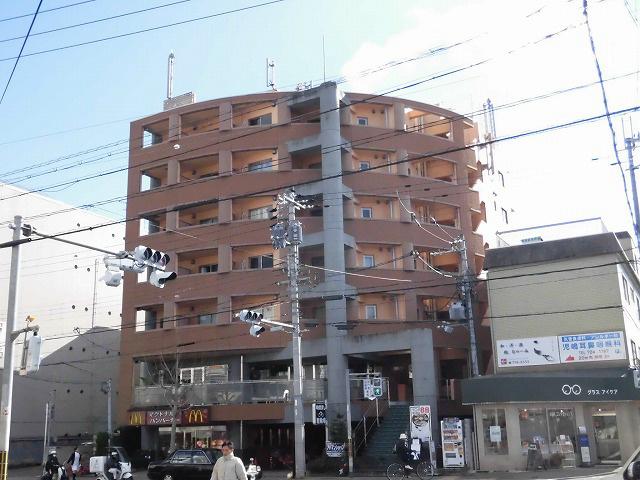 GATO D.M北山
