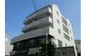ビアンカ・ディモーラ