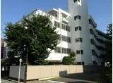 グレイス大島