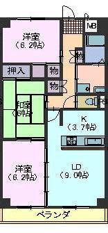 栄M・A(3LDK/5階)の間取り写真