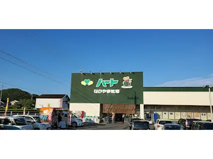 グレイスホーム(3LDK/1階)の周辺写真