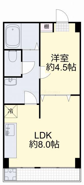 ACE弐番館(1LDK/2階)の間取り写真