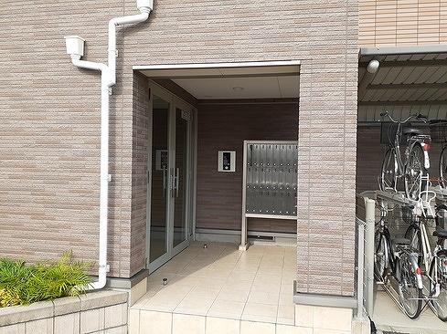 カーサ・コルソ