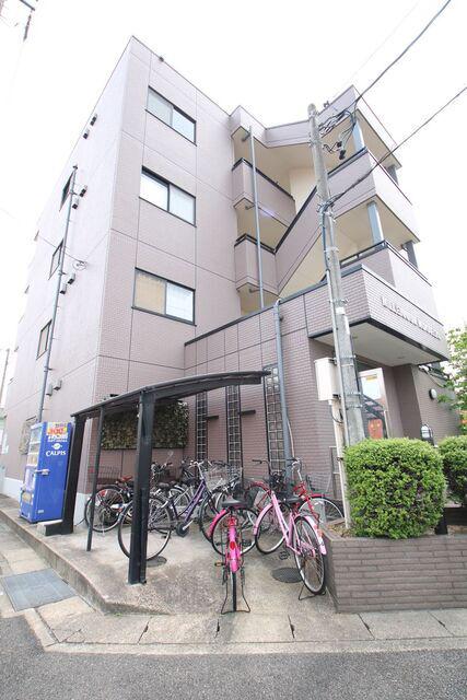 ミレニアム向台